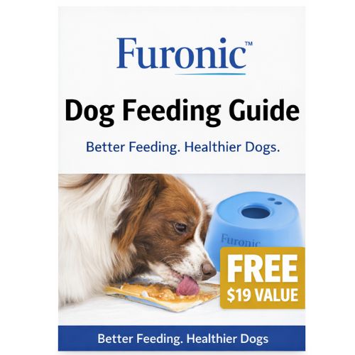 đ Dog Feeding Guide